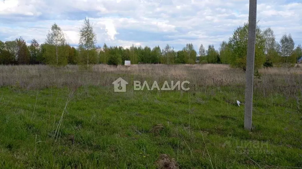 Участок в Владимирская область, Суздальский район, Павловское ... - Фото 2