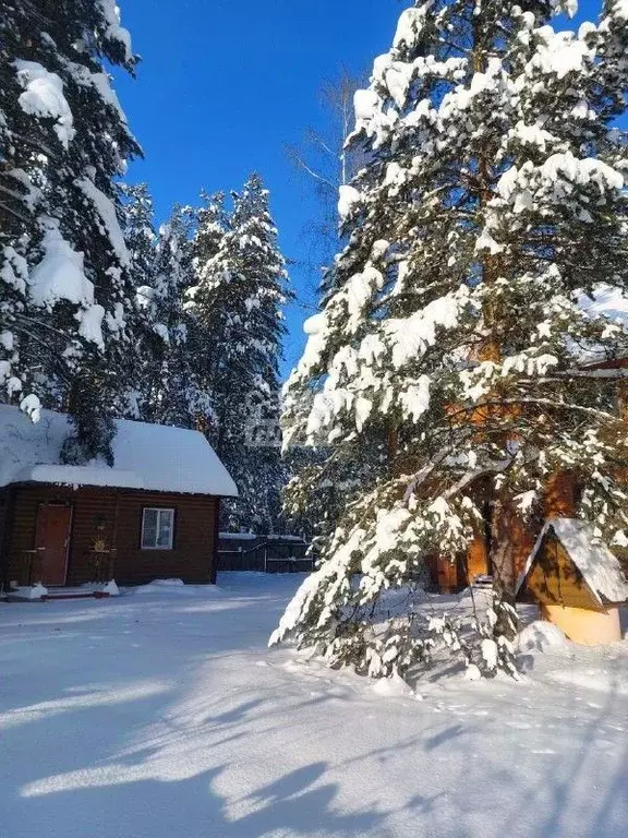 Дом в Московская область, Орехово-Зуевский городской округ, с. ... - Фото 2