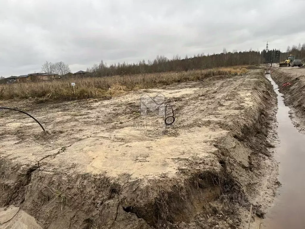 Участок в Ленинградская область, Всеволожский район, Щегловское с/пос, ... - Фото 2
