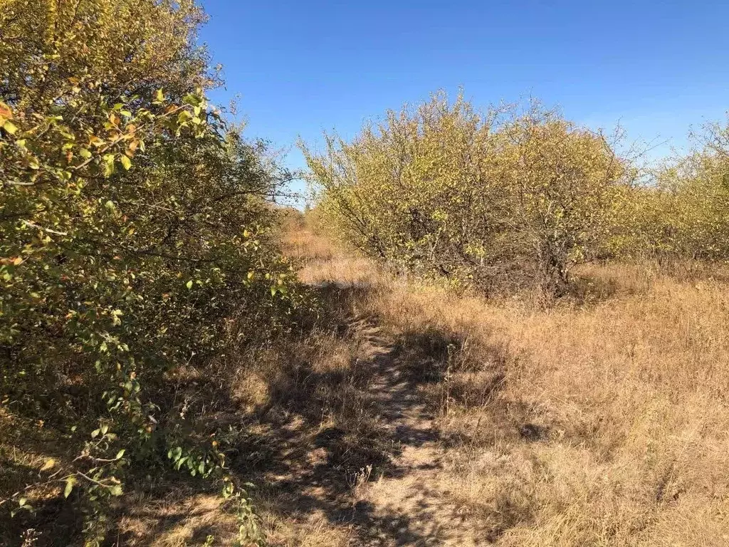 Участок в Белгородская область, Белгородский район, Дубовское с/пос, ... - Фото 0
