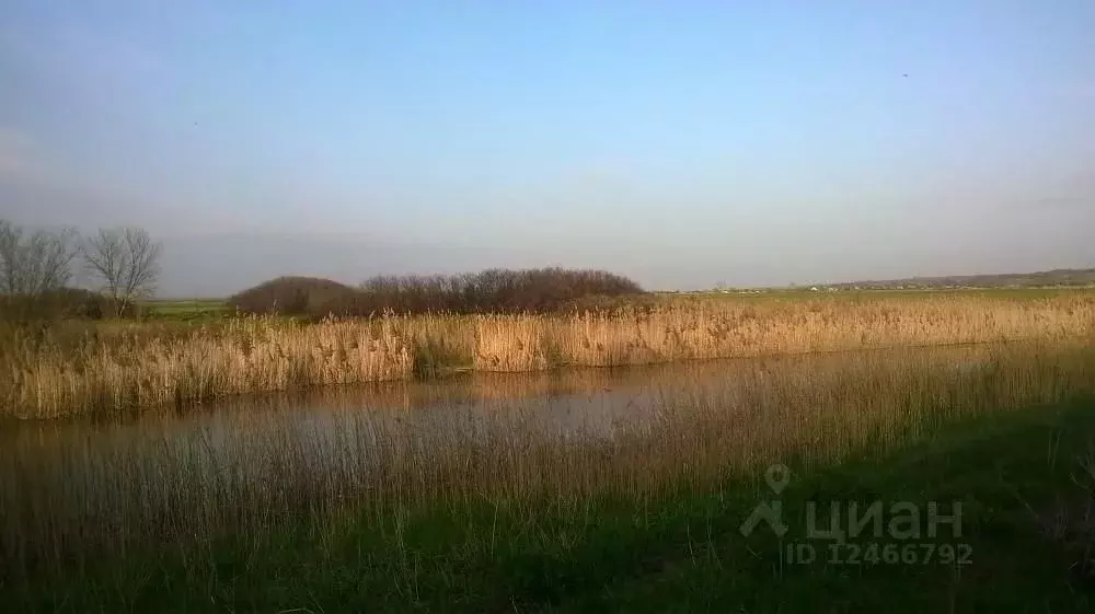 Участок в Ростовская область, Родионово-Несветайский район, ... - Фото 0