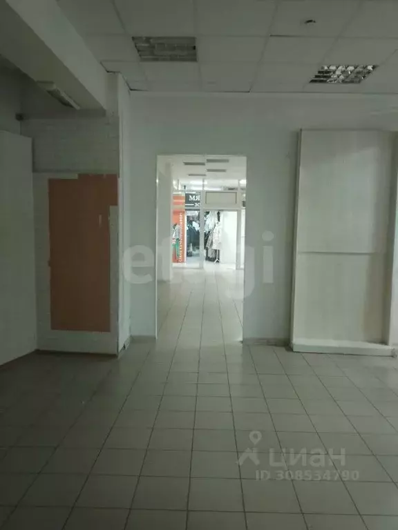 Помещение свободного назначения в Брянская область, Брянск ул. ... - Фото 2