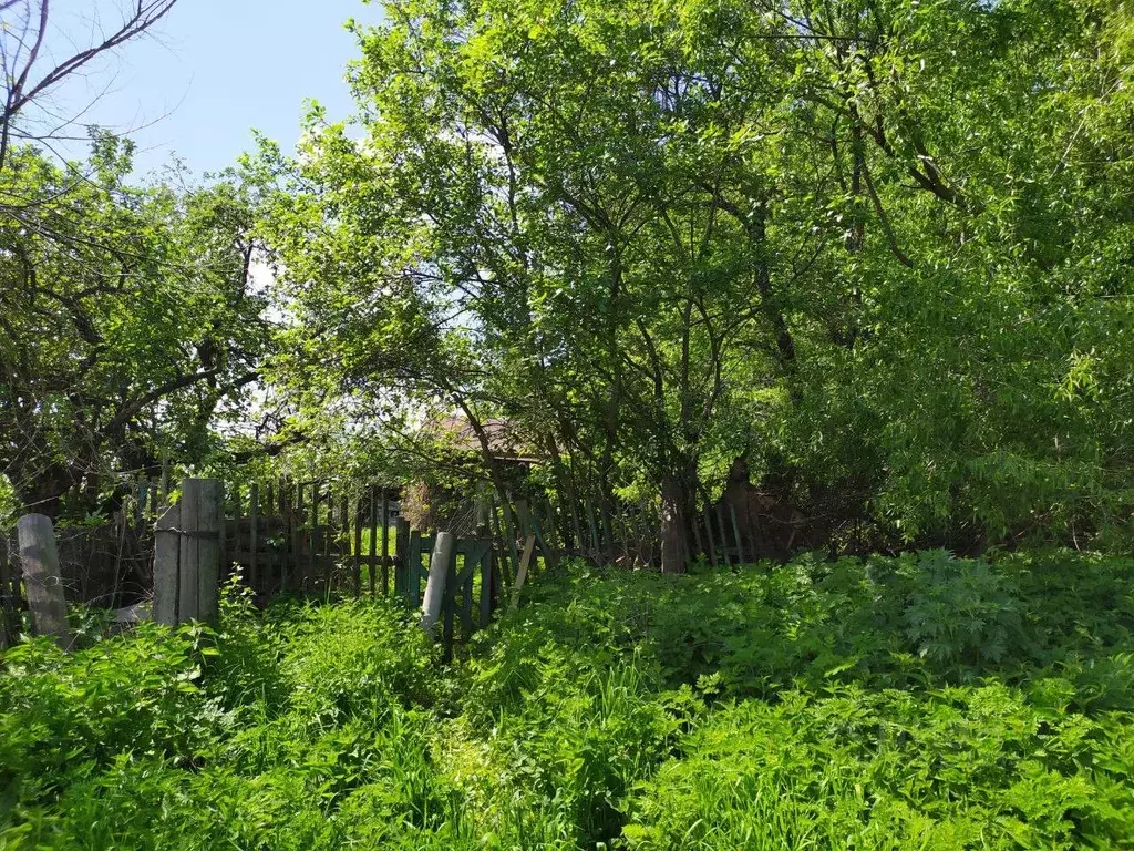 Участок в Владимирская область, Владимир ул. Красная Горка, 1 (8.0 ... - Фото 1
