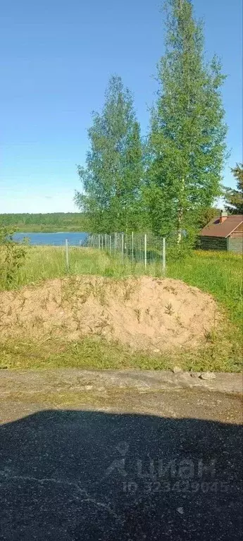 Участок в Новгородская область, Чудовский район, Трегубовское с/пос, ... - Фото 2