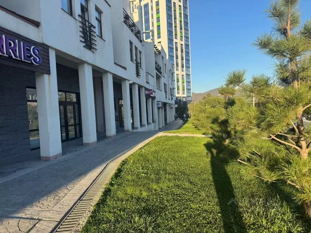 Помещение свободного назначения в Краснодарский край, Новороссийск ул. ... - Фото 2