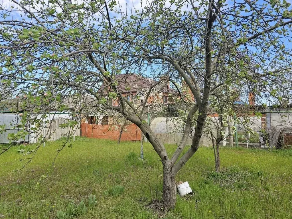 Дом в станица Елизаветинская, Широкая улица, 142 (66 м) - Фото 2