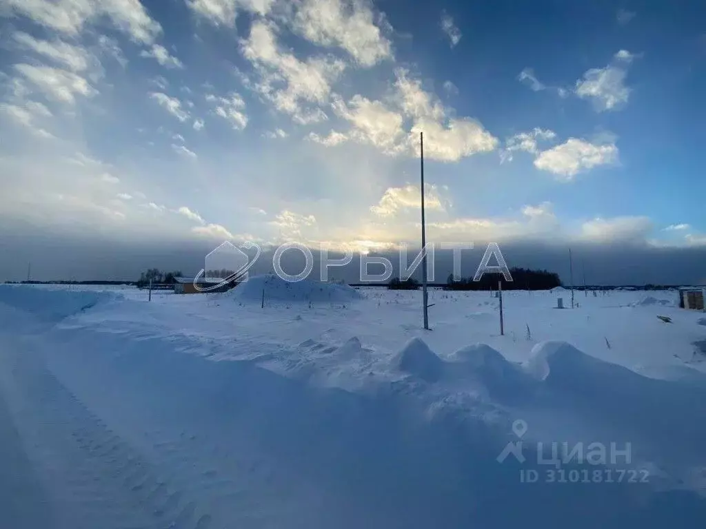 Участок в Тюменская область, Тюменский район, Новокаменский кп ул. ... - Фото 1