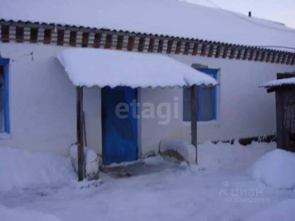 Склад в Курганская область, Шатровский муниципальный округ, д. Ударник ... - Фото 1