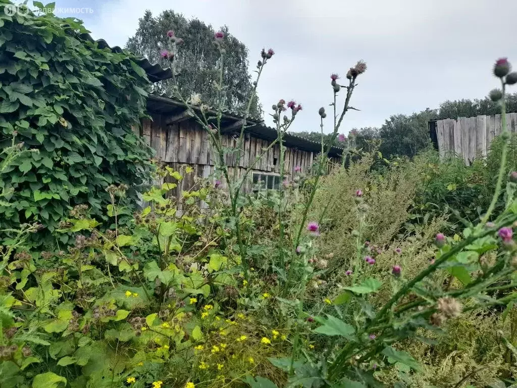 Участок в село Тоболово, улица Гагарина (29.7 м) - Фото 1