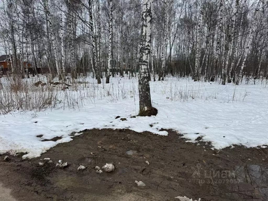 Участок в Московская область, Богородский городской округ, имени ... - Фото 1