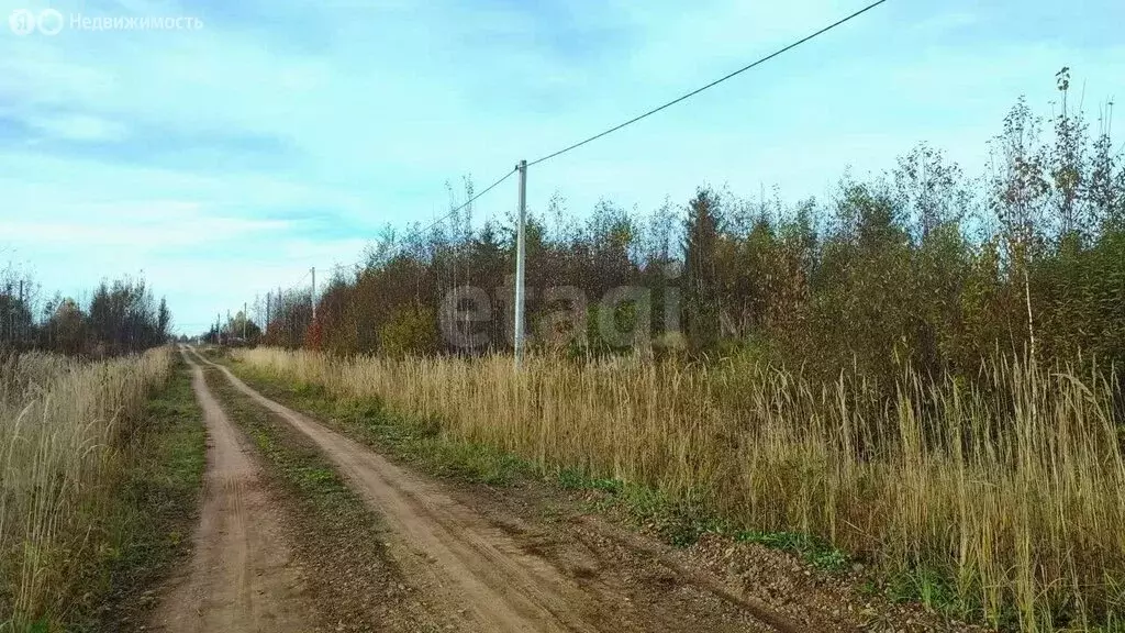 Участок в Чернушка, Звёздная улица (14 м) - Фото 1