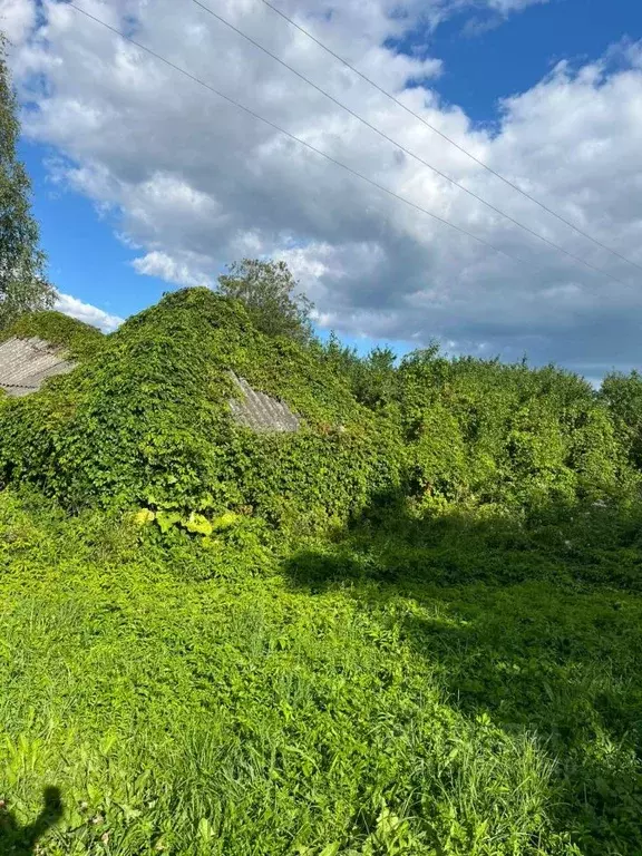 Участок в Брянская область, Жуковский муниципальный округ, пос. ... - Фото 2