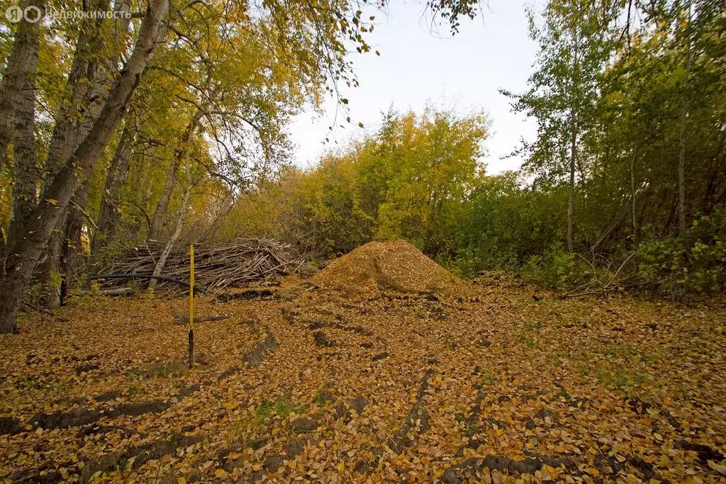 Участок в село Сингуль Татарский, улица Мусы Джалиля (12 м) - Фото 0