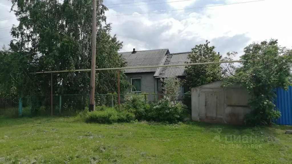 Дом в Новосибирская область, Колыванский район, с. Скала ул. Макарова ... - Фото 1