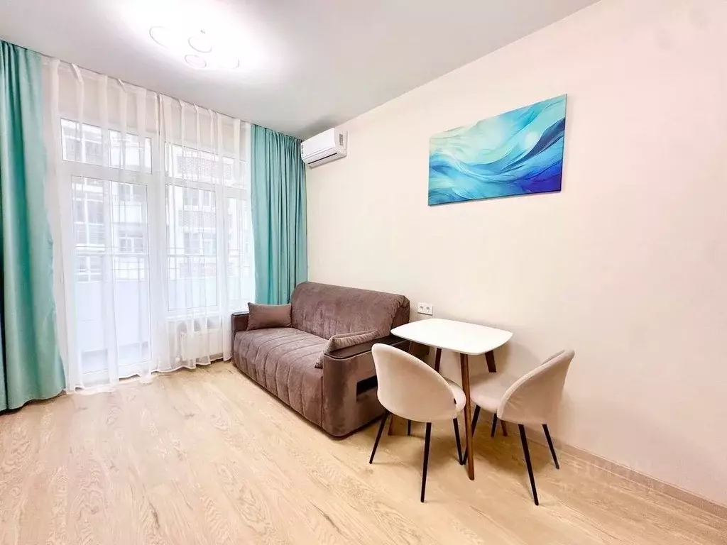 1-к кв. Краснодарский край, Сочи ул. Ленина, 290/7к2 (25.0 м) - Фото 1