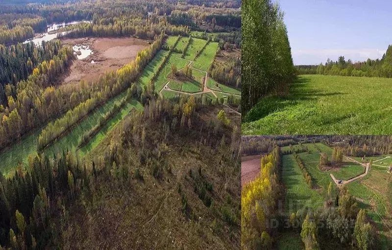 Участок в Ленинградская область, Приозерский район, Мельниковское ... - Фото 1