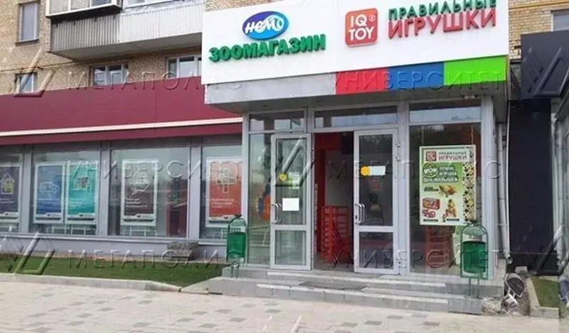 Торговая площадь в Москва просп. Мира, 182 (831 м) - Фото 2