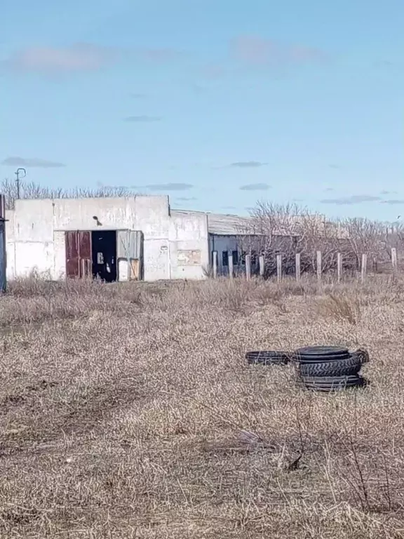 Помещение свободного назначения в Новосибирская область, Краснозерский ... - Фото 0