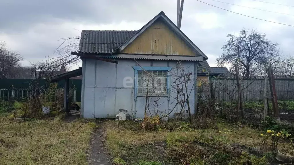 Дом в Брянская область, Фокино Мичуринец-2 садоводческое товарищество, ... - Фото 0