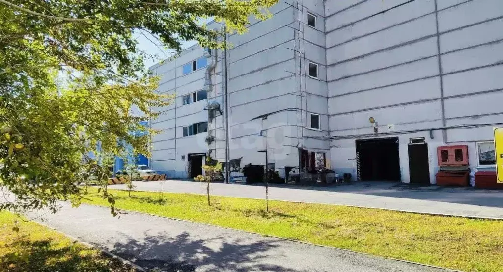 Гараж в Тюменская область, Тюмень ул. Василия Гольцова, 34с1 (18 м) - Фото 2