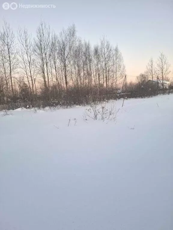 Участок в Московская область, муниципальный округ Егорьевск, деревня ... - Фото 2