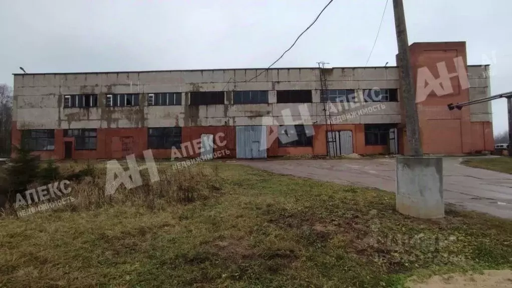 Производственное помещение в Московская область, Чехов муниципальный ... - Фото 2