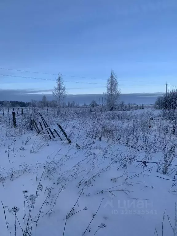 Участок в Чувашия, Козловский муниципальный округ, д. Липово  (15.0 ... - Фото 2