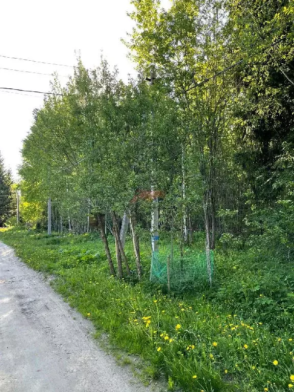 Продается участок в д. Лупаново - Фото 1