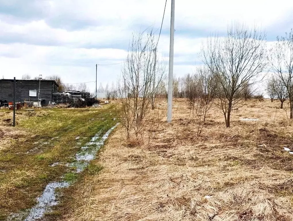 Участок в Тульская область, Тула городской округ, д. Сине-Тулица ... - Фото 1