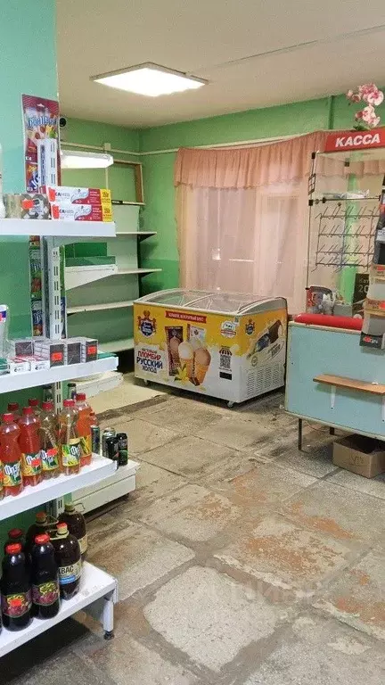 Помещение свободного назначения в Свердловская область, Белоярский ... - Фото 2