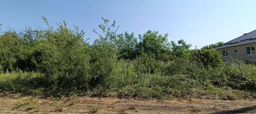 Участок в Ростовская область, Родионово-Несветайский район, ... - Фото 1