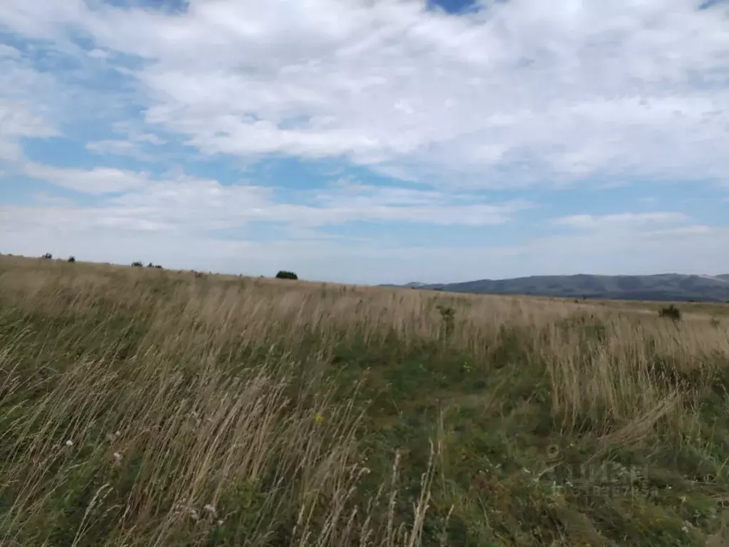 Участок в Алтай, Майминский район, с. Подгорное Центральная ул. (7.6 ... - Фото 1