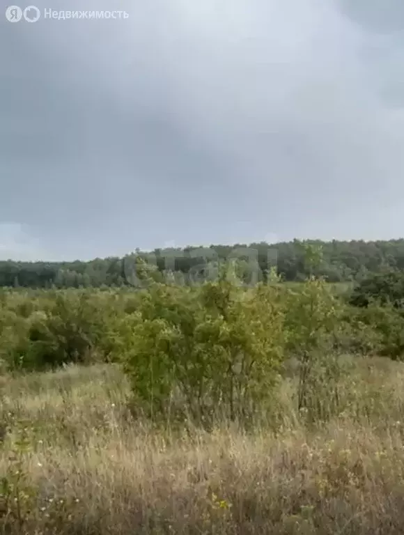Участок в Соколовый, Луговая улица (10 м) - Фото 0