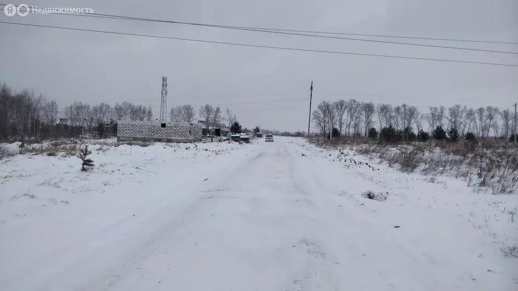 Участок в Первомайский район, посёлок Новый, улица Чехова (12 м) - Фото 0