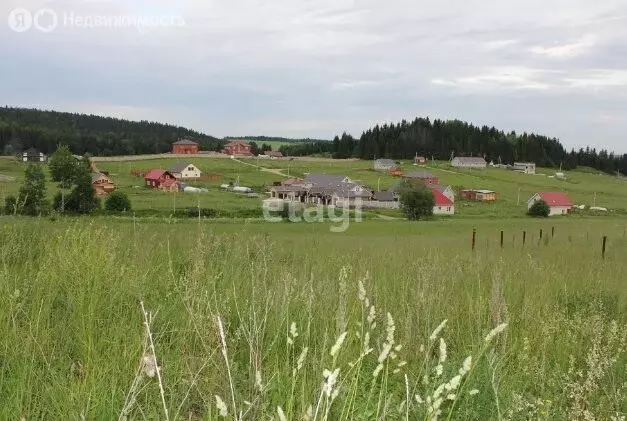 Участок в Пермский муниципальный округ, деревня Большакино (420 м) - Фото 0