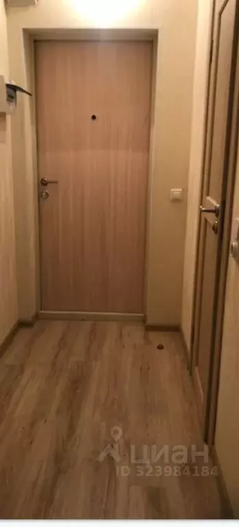 Студия Санкт-Петербург Пулковское ш., 14Е (24.6 м) - Фото 2