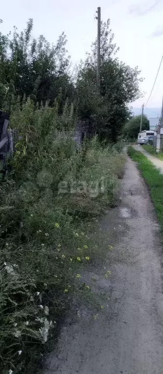 Участок 4 сот. (СНТ, ДНП) - Фото 0