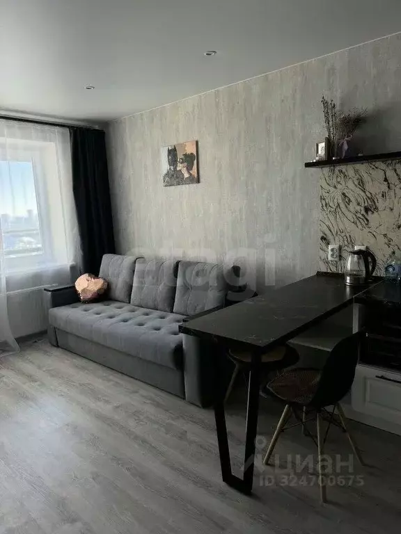 Студия Удмуртия, Ижевск ул. 10 лет Октября, 87 (27.0 м) - Фото 1