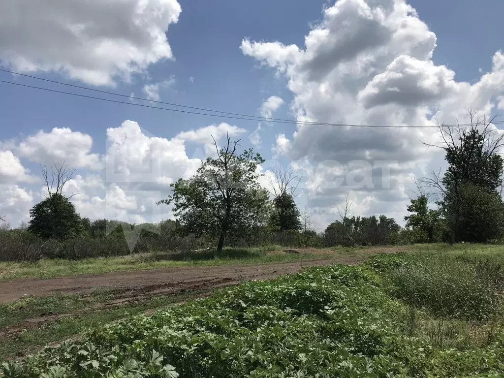 Купить Участок В Среднеахтубинском Районе Волгоградской Области