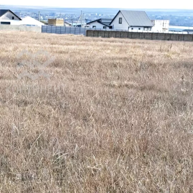 Участок в Крым, Черноморский район, Оленевское с/пос, с. Оленевка  ... - Фото 0