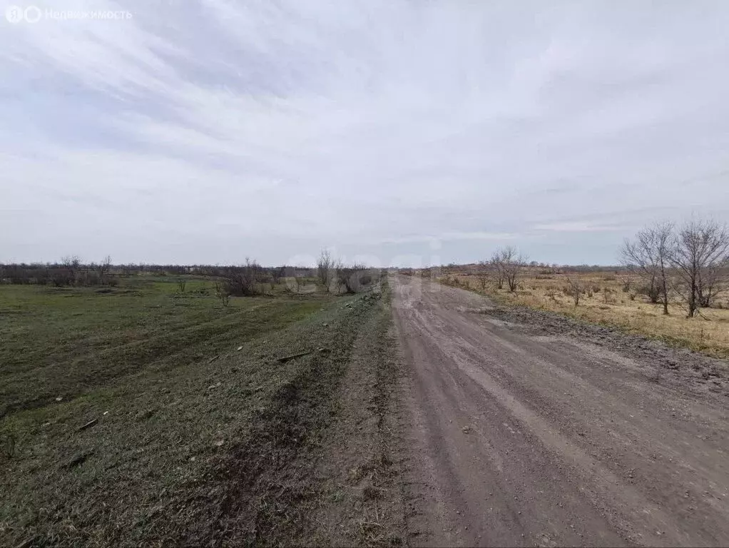 Участок в село Зелёное, Ярославская улица (18 м) - Фото 2