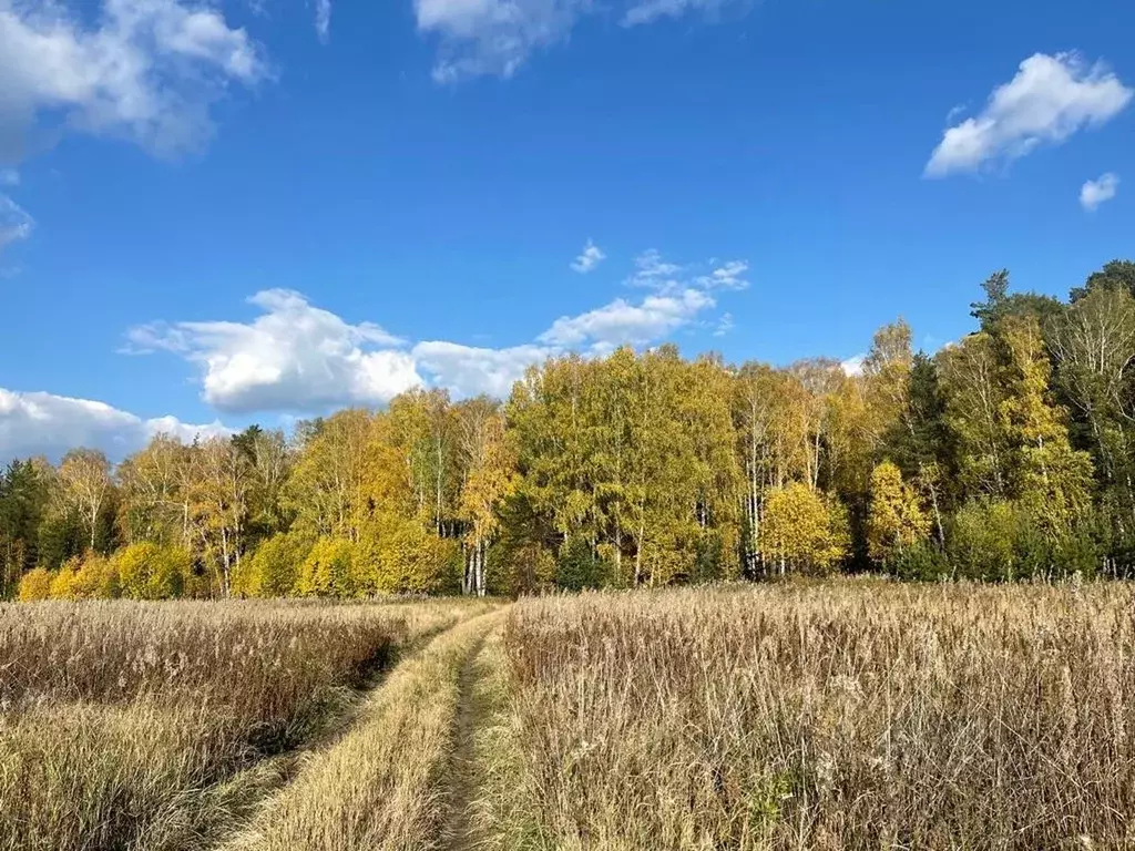 Участок в Свердловская область, Полевской городской округ, пос. ... - Фото 1