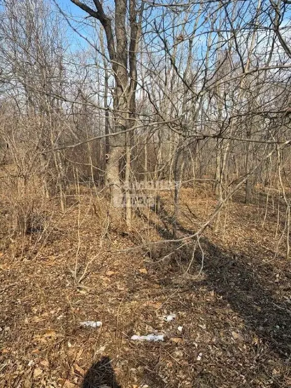Участок в Приморский край, Владивостокский городской округ, пос. ... - Фото 2