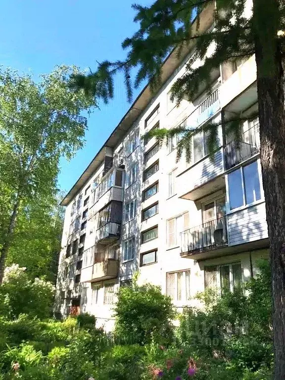 3-к кв. Санкт-Петербург ул. Крыленко, 29К4 (54.5 м) - Фото 1