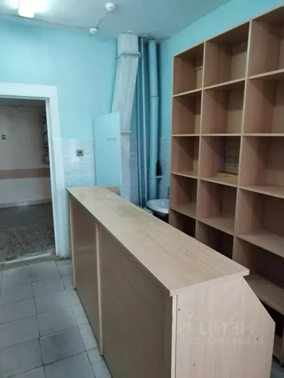 Помещение свободного назначения в Пермский край, с. Большая Соснова ... - Фото 1