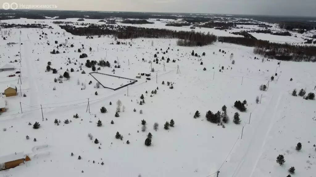 Участок в Томский район, деревня Петровский Участок, улица ... - Фото 2