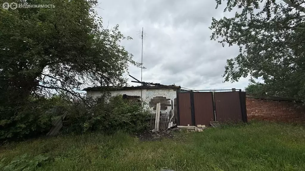 Участок в Коркино, улица Белинского, 56 (9 м) - Фото 2