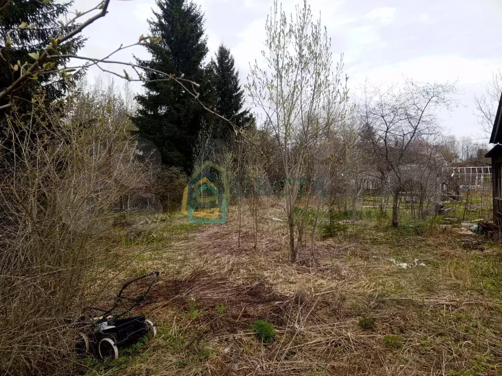 Участок 6,9 сот. (СНТ, ДНП) - Фото 1
