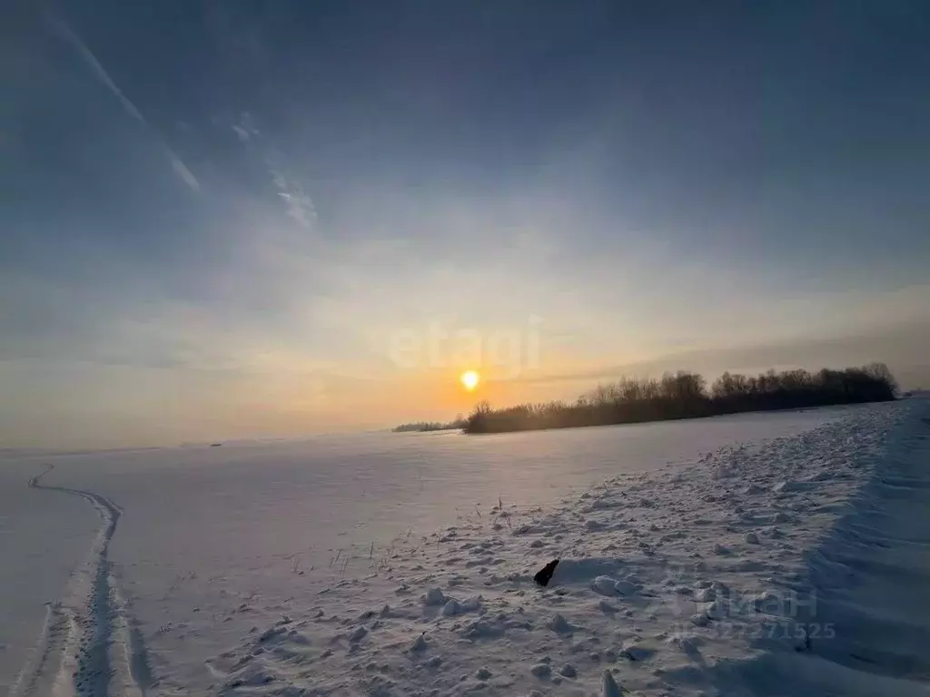 Участок в Башкортостан, Ишимбайский район, с. Ишеево  (2530.0 сот.) - Фото 1