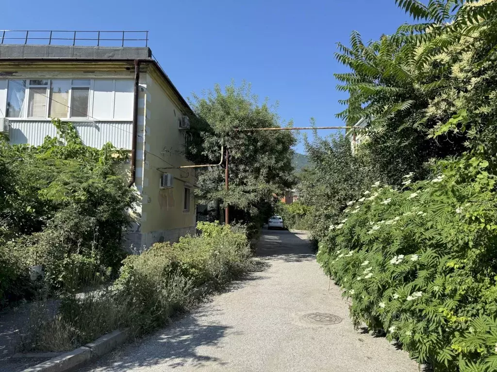 2-к кв. Краснодарский край, Геленджик ул. Мичурина, 20 (32.0 м) - Фото 1